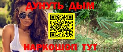 сатива Будённовск