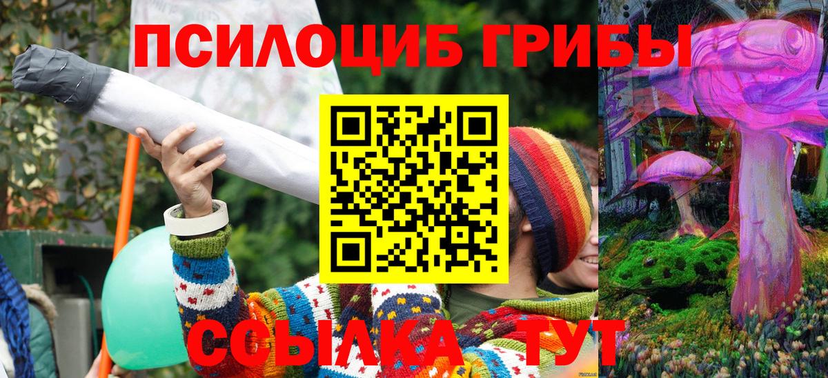 Галлюциногенные грибы мицелий  купить закладку  Галлюциногенные грибы Cubensis  Пушкино  Вход с VPN 