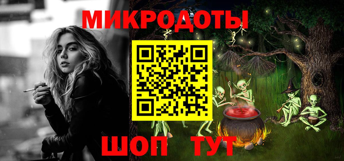 Псилоцибиновые грибы Psilocybe Пушкино